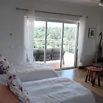 Céu Do Sul *